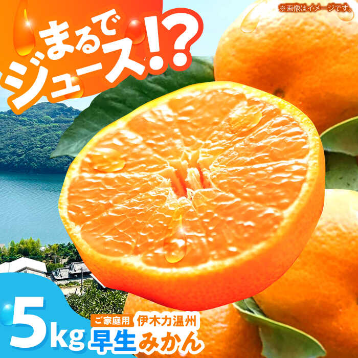 ミカンページ 楽天市場】【ふるさと納税】【数量限定☆先行予約】【10月中旬