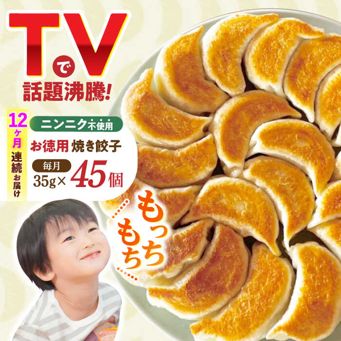 【ふるさと納税】【12回定期便】《餃子のかわしも》かわしも焼き餃子お徳用45個入りパッケージ[AHBM008]｜長崎県諫早市