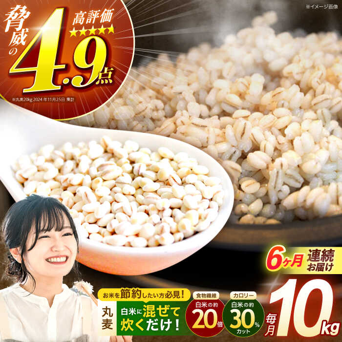 【ふるさと納税】【全6回定期便】 長崎県産 丸麦 10kg / 麦 むぎ 雑穀 雑穀米 麦ごはん 麦飯 麦みそ 食物繊維 長崎県産 米 こめ コメ ※ / 諫早市 / 有限会社伊東精麦[AHBU007]
