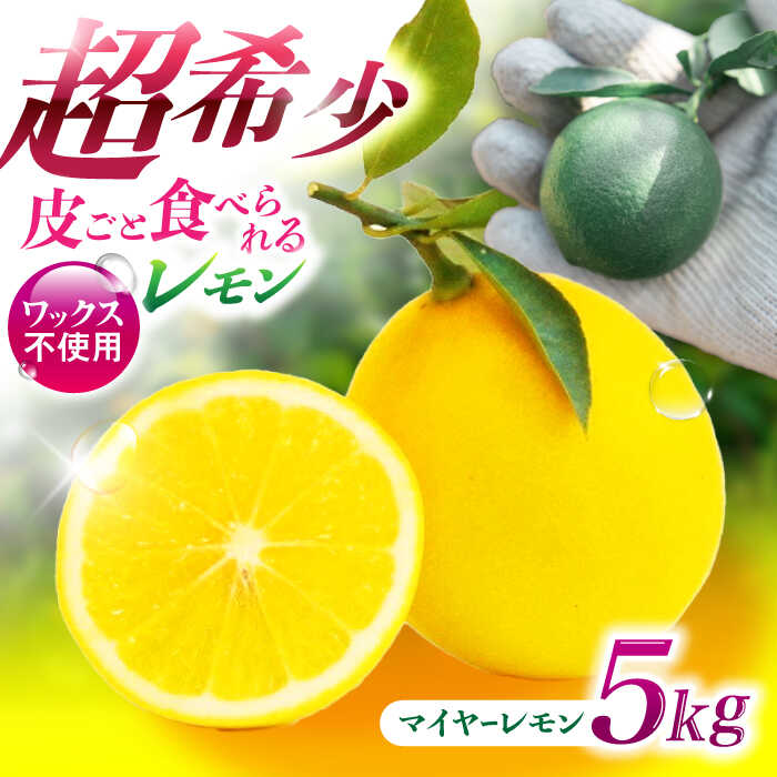 【ふるさと納税】※【2025年11月発送分／先行予約】マイヤーレモン 5kg / レモン れもん 檸檬 柑橘 フルーツ ふるーつ 果物 くだもの / 諫早市 / 山野果樹園 [AHCF004]