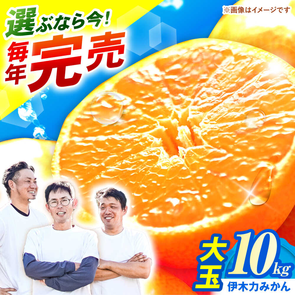 【ふるさと納税】※【2025年11月発送分／先行予約】伊木力みかん（大玉）10kg / みかん ミカン 蜜柑 柑橘 フルーツ ふるーつ 果物 くだもの / 諫早市 / 山野果樹園 [AHCF005]
