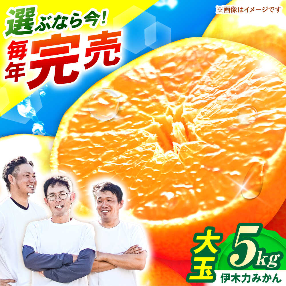 【ふるさと納税】※【2025年11月発送分／先行予約】伊木力みかん (大玉)5kg / みかん ミカン 蜜柑 柑橘 フルーツ ふるーつ 果物 くだもの / 諫早市 / 山野果樹園[AHCF007]