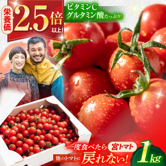 【ふるさと納税】プチッと弾ける果汁「宮トマト」1kg/トマト とまと ミニトマト プチトマト 野菜 やさい / 諫早市 / [AHCG023]