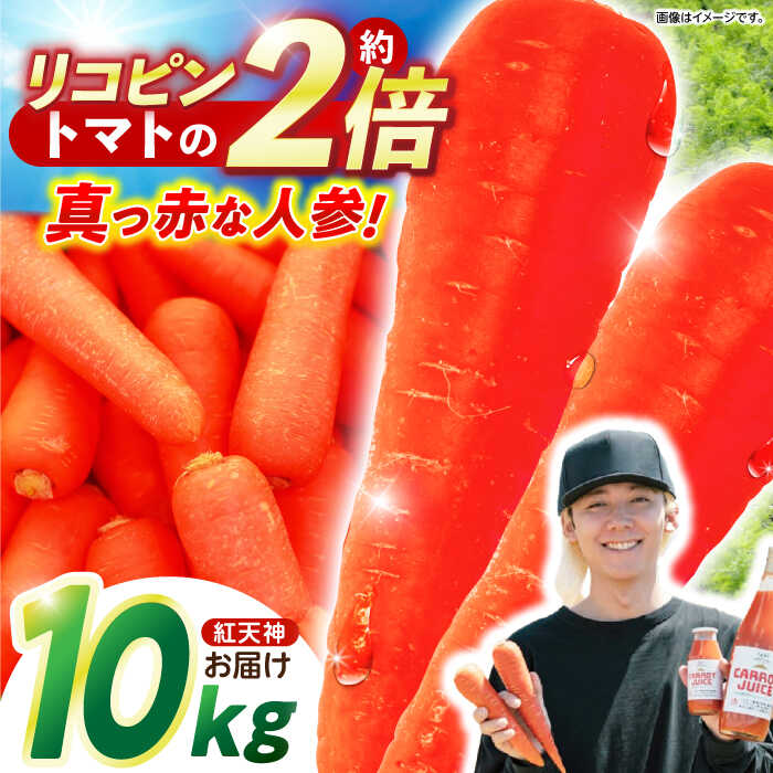 【ふるさと納税】【甘みと栄養たっぷり！】 真っ赤な人参 「紅天神」 10kg / にんじん ニンジン 人参 やさい 野菜 / 諫早市 / 滝商店株式会社[AHCU002]