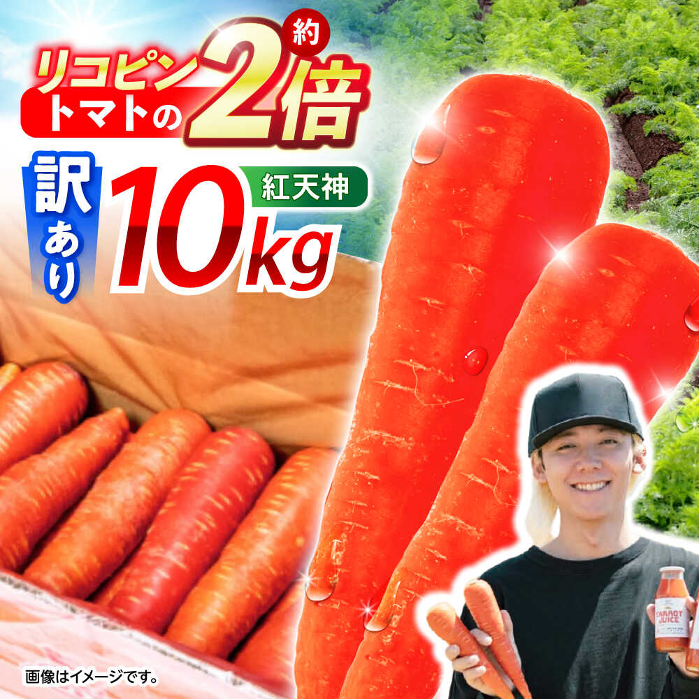 【ふるさと納税】【訳あり】 【甘みと栄養たっぷり！】 真っ赤な人参 「紅天神」 10kg / にんじん ニンジン 人参 やさい 野菜 訳あり 訳アリ わけあり ワケアリ / 諫早市 / 滝商店株式会社[AHCU006]