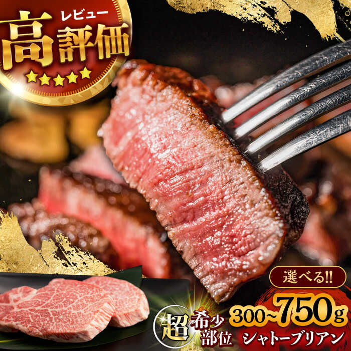 【ふるさと納税】〈選べる容量〉希少部位 A5 長崎和牛 シャトーブリアン 300g～750g / ヒレ ひれ ヒレステーキ ステーキ すてーき しゃとーぶりあん 2枚 3枚 4枚 5枚 / 諫早市 / 野中精肉店[AHCW110]
