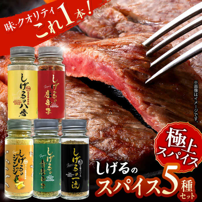 【ふるさと納税】しげるのスパイス５本セット　/　スパイス　ジンジャー　肉　肉専門　オニオン　/　諫早市　/　株式会社飯盛グリーン開発[AHCY017]