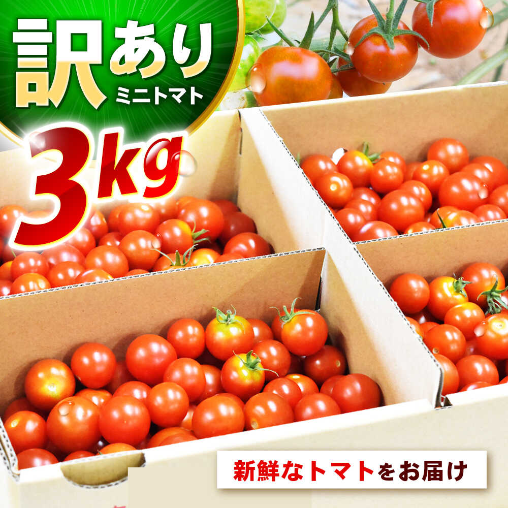 【ふるさと納税】訳ありミニトマト / 訳あり 訳アリ ミニトマト プチトマト トマト / 諫早市 / 原農園 [AHCZ001]