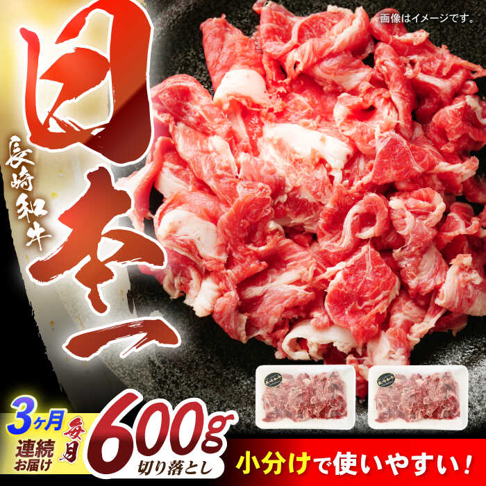 【ふるさと納税】【3回定期便】長崎和牛 切落し 300g&times;2パック / 長崎和牛 切落し 和牛 国産牛 牛肉 / 諫早市 / 有限会社長崎フードサービス[AHDD006]｜長崎県諫早市