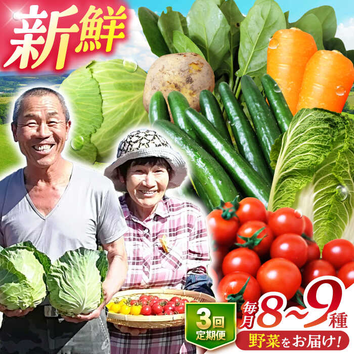 【ふるさと納税】【全3回定期便】諫早産野菜の詰め合わせ 8～9品目程度 / 季節 旬 野菜 やさい 春野菜 夏野菜 秋野菜 野菜セット 詰め合わせ 野菜定期 野菜定期便 定期便 / 諫早市 / 肥前グローカル株式会社 [AHDI001]