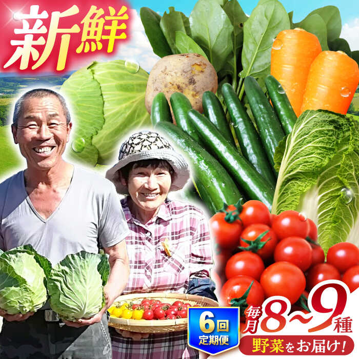 【ふるさと納税】【全6回定期便】諫早産野菜の詰め合わせ 8～9品目程度 / 季節 旬 野菜 やさい 春野菜 夏野菜 秋野菜 野菜セット 詰め合わせ 野菜定期 野菜定期便 定期便 / 諫早市 / 肥前グローカル株式会社 [AHDI002]