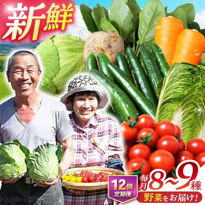 【ふるさと納税】【全12回定期便】諫早産野菜の詰め合わせ 8～9品目程度 / 季節 旬 野菜 やさい 春野菜 夏野菜 秋野菜 野菜セット 詰め合わせ 野菜定期 野菜定期便 定期便 / 諫早市 / 肥前グローカル株式会社  [AHDI003]