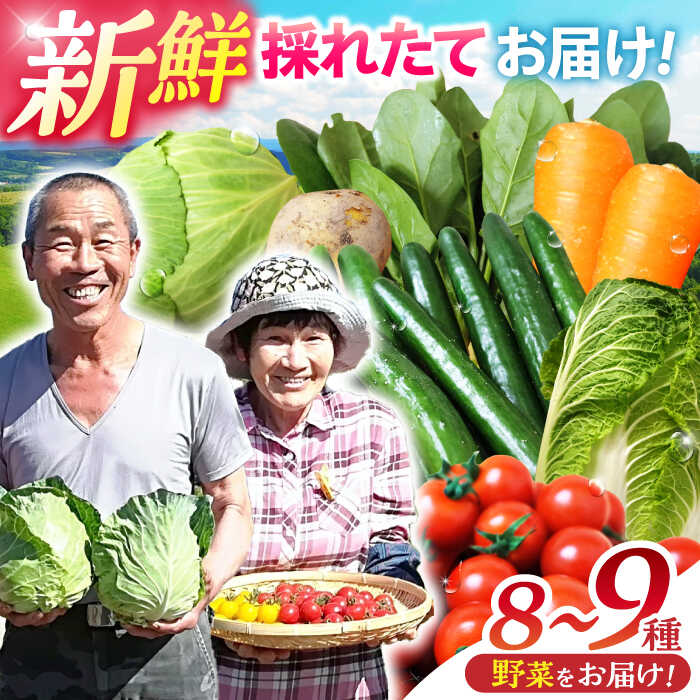 【ふるさと納税】諫早産野菜の詰め合わせ 8～9品目程度 / 季節 旬 野菜 やさい 春野菜 夏野菜 秋野菜 野菜セット 詰め合わせ / 諫早市 / 肥前グローカル株式会社 [AHDI004]