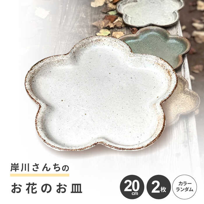定期便特集