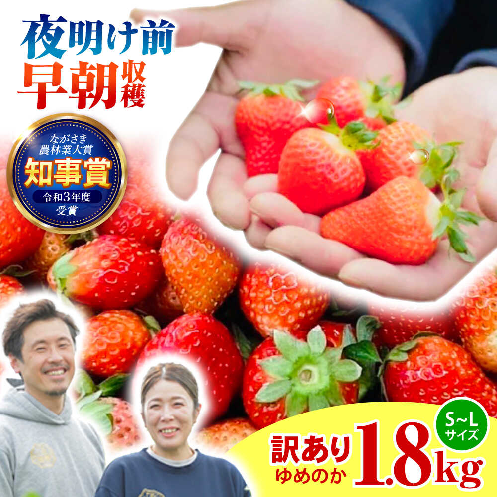 【ふるさと納税】【訳あり】【とろける甘さ、弾ける果汁！】いちご「ゆめのか」 S-Lサイズ 1.8kg / 訳あり 訳あり商品 訳あり果物 果物訳あり いちご イチゴ 苺 イチゴジャム / 諫早市 / むらたサービス[AHFA003]