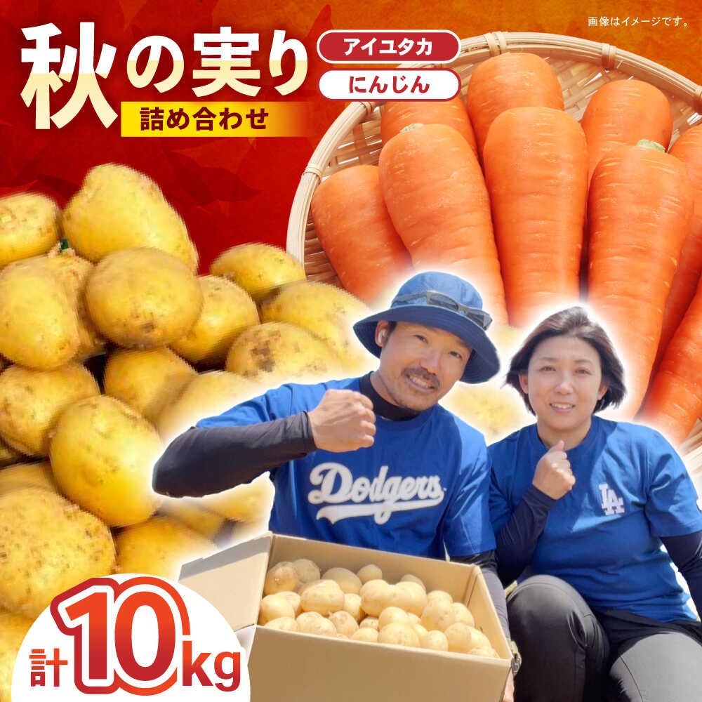 ジャンボサイズ　数量限定　じゃがいも　004 ジャンボサイズ数量限定じゃがいも04 ジャンボサイズ 数量限定