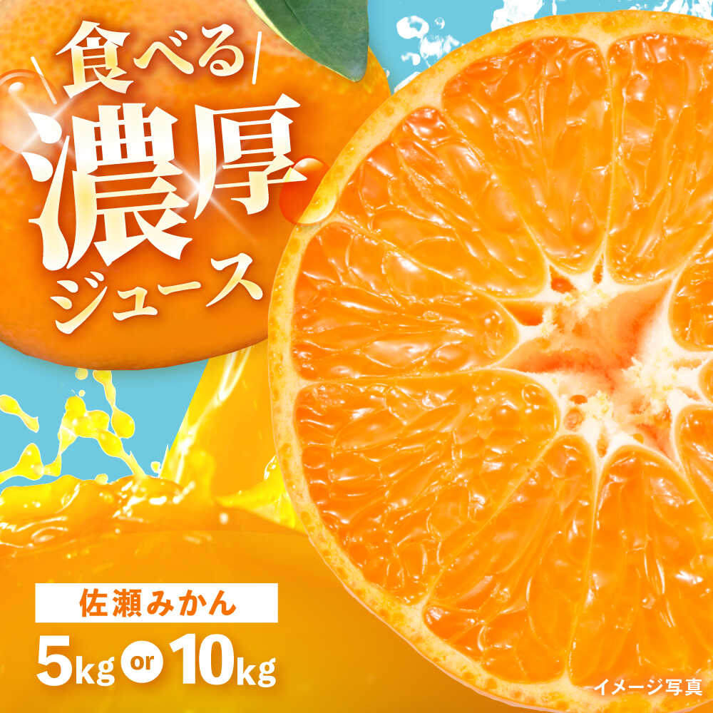 【ふるさと納税】※【2026年11月より順次発送／先行予約】【食べる濃厚ジュース】佐瀬みかん 5kg 10kg / みかん ミカン 蜜柑 オレンジ 柑橘 フルーツ ふるーつ 果物 くだもの みかんジュース 甘い / 諫早市 / 一正[AHFL001]｜長崎県諫早市