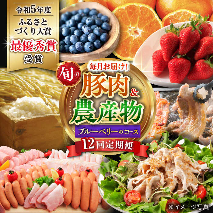 【ふるさと納税】【12回定期便】豚肉 ＆ 旬の農産物 ブルーベリー コース（ 米 豚肉 いちご ハムセット 野菜 果物 ブルーベリー みかん ）/ コメ こめ 苺 フルーツ ハム 蜜柑 ミカン 定期便 豚 / 大村市 / おおむら夢ファームシュシュ[ACAA124]