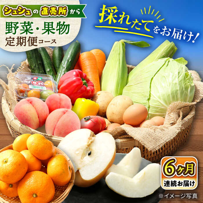 【ふるさと納税】【6回定期便】シュシュの直売所から 野菜・果物 定期便 コース / 野菜 やさい 果物 くだもの フルーツ ふるーつ 産地直送 フルーツ定期便 野菜定期便  / 大村市 / おおむら夢ファームシュシュ[ACAA165]
