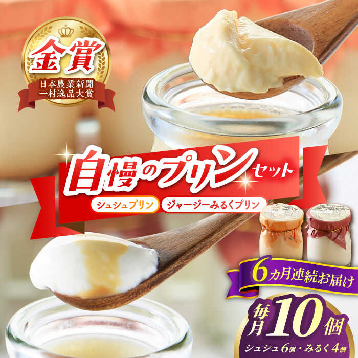 【ふるさと納税】【6回定期便】シュシュプリンとジャージーみるくプリンセット 10個/月（計60個）/ プリン スイーツ ミルク ジャージ?牛乳 / 大村市 / おおむら夢ファームシュシュ[ACAA321]