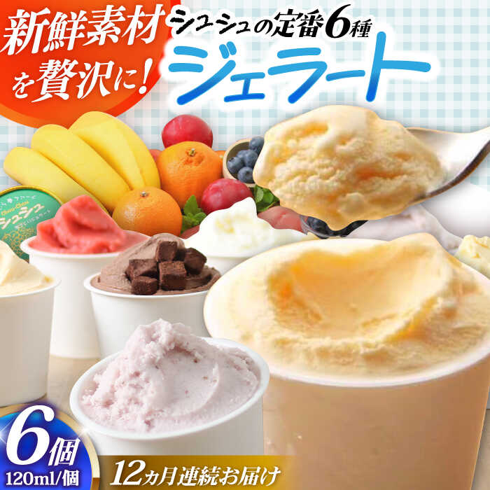 【ふるさと納税】【12回定期便】シュシュ 定番ジェラート6個セット / アイス アイスクリーム ジェラート スイーツ / 大村市 / おおむら夢ファームシュシュ[ACAA408]｜長崎県大村市