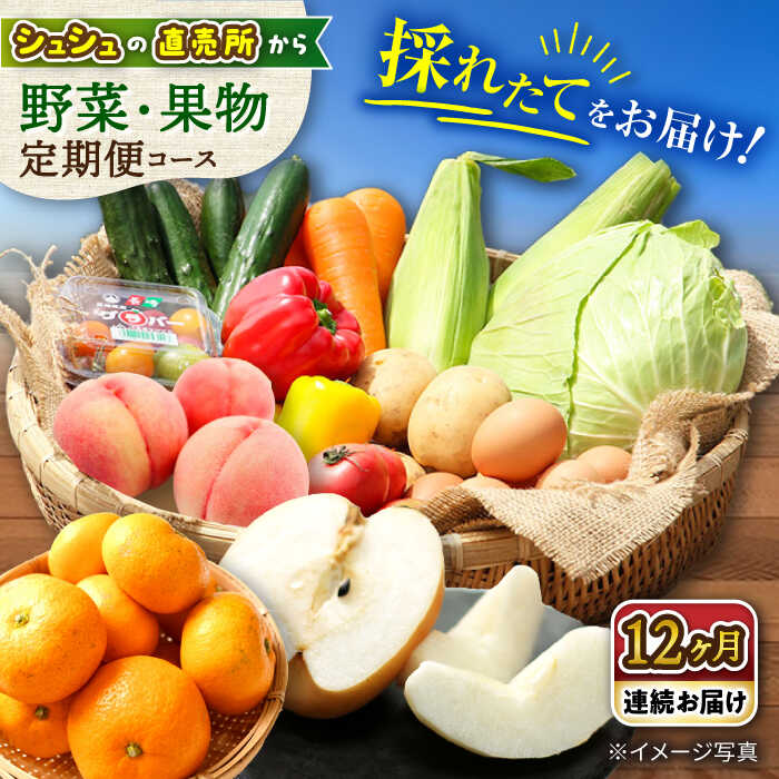 【ふるさと納税】【12回定期便】野菜・果物 定期便 コース / 野菜 やさい フルーツ 果物 ふるーつ 12回 定期便 旬 産地直送 / 大村市 / おおむら夢ファームシュシュ[ACAA092]