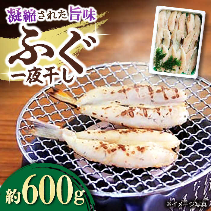 【ふるさと納税】ふぐ 一夜干し 600g / ふぐ フグ 一夜干し 河豚 干物 ひもの / 大村市 / 株式会社ナガスイ[ACYQ012]｜長崎県大村市