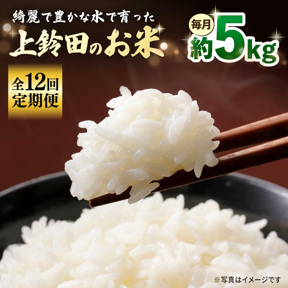 【ふるさと納税】【全12回定期便】上鈴田のお米 5kg 白米 米 長崎県産 大村市 鈴田峠農園[ACAJ010]｜長崎県大村市