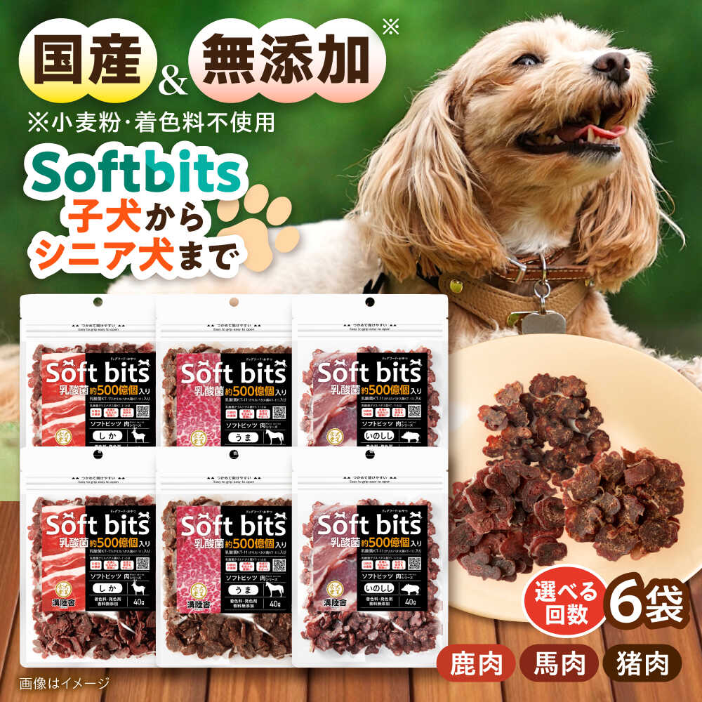 今日このごろの有りがたさを込めて＼父の日の差し上げ物特集 ／
