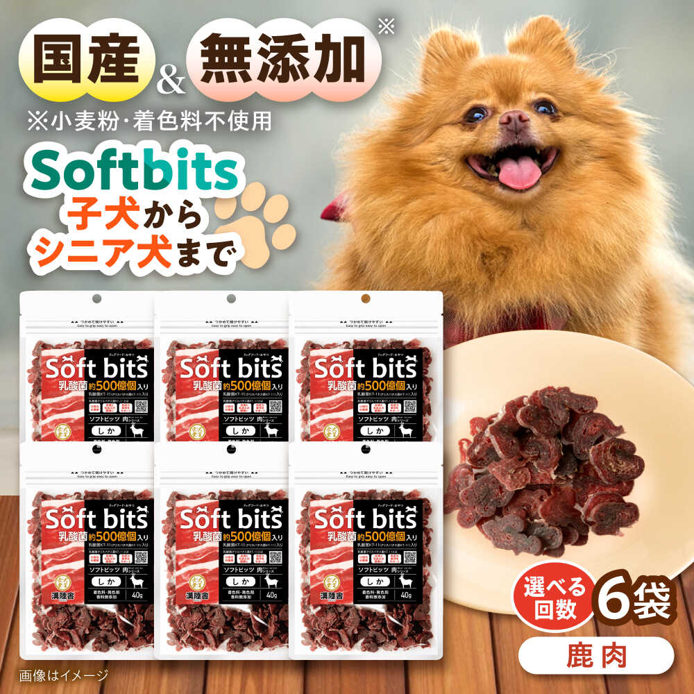 今日このごろの有りがたさを込めて＼父の日の差し上げ物特集 ／ ドッグフード-犬用品-ドッグフード・サプリメント