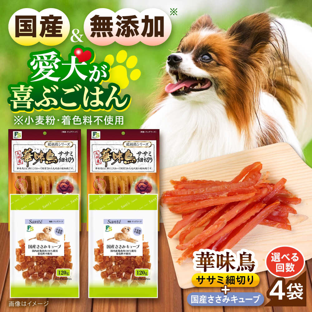 今日このごろの有りがたさを込めて＼父の日の差し上げ物特集 ／ ドッグフード・サプリメント-犬用品