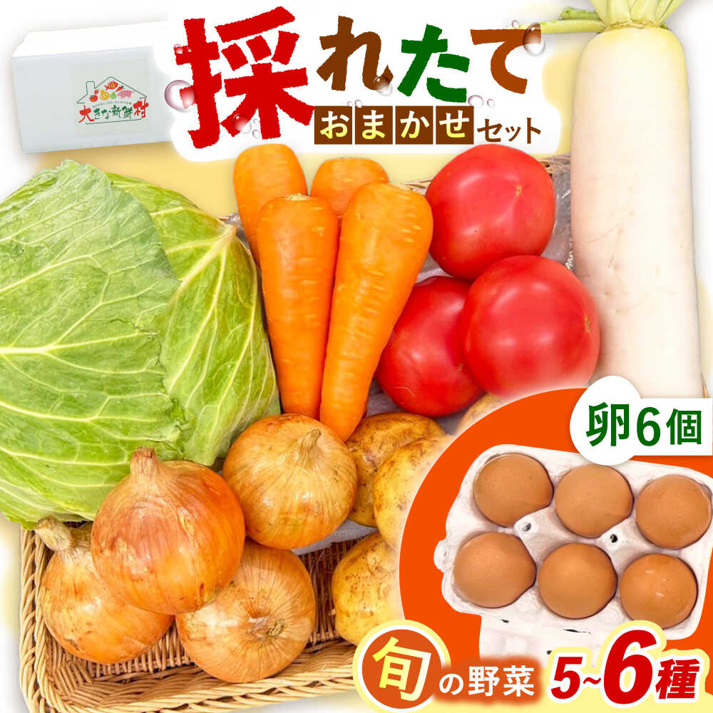 【ふるさと納税】採れたてお野菜おまかせ（5～6種）・卵6個セット/ 野菜 やさい 野菜セット 野菜詰め合わせ 詰め合わせ セット たまご 卵 タマゴ 紅たまご こだまさんち / 大村市 / かとりストアー[ACAN105]