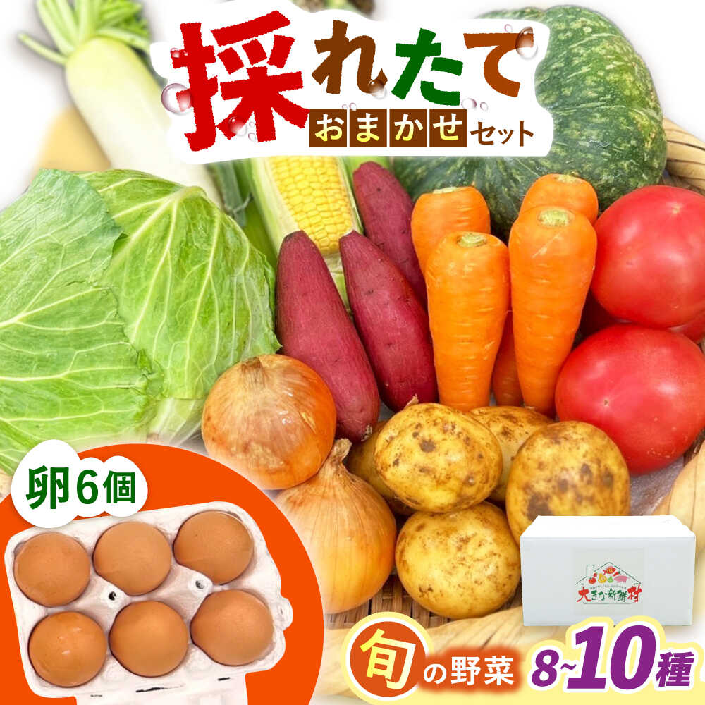 【ふるさと納税】採れたてお野菜おまかせ（8～10種）・卵6個セット/ 野菜 やさい 野菜セット 野菜詰め合わせ 詰め合わせ セット たまご 卵 タマゴ 紅たまご こだまさんち / 大村市 / かとりストアー[ACAN107]