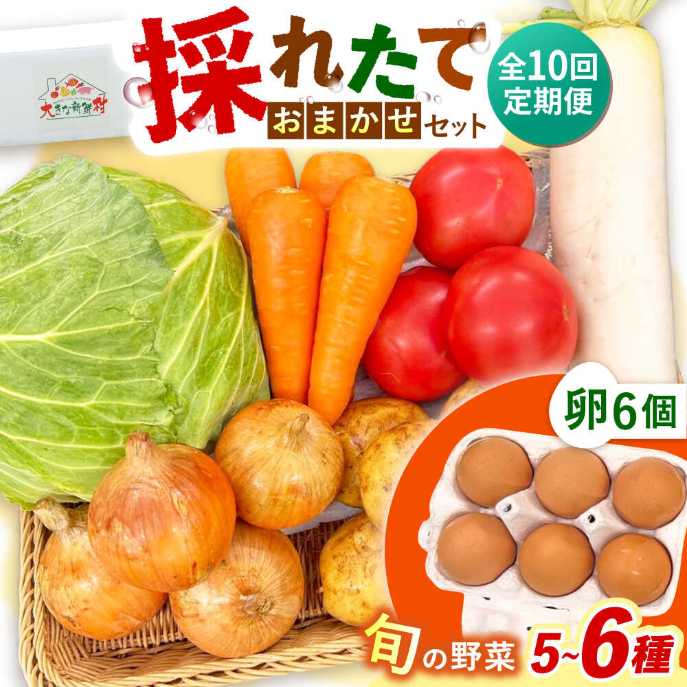 【ふるさと納税】【全10回定期便】採れたてお野菜おまかせ（5～6種）・卵6個セット/ 野菜 やさい 野菜セット 野菜詰め合わせ 詰め合わせ セット たまご 卵 タマゴ 紅たまご こだまさんち / 大村市 / かとりストアー[ACAN131]
