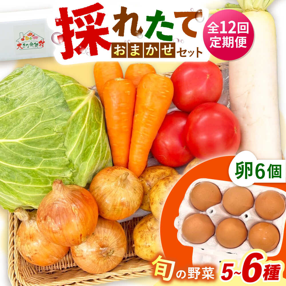 【ふるさと納税】【全12回定期便】採れたてお野菜おまかせ（5～6種）・卵6個セット/ 野菜 やさい 野菜セット 野菜詰め合わせ 詰め合わせ セット たまご 卵 タマゴ 紅たまご こだまさんち / 大村市 / かとりストアー[ACAN132]｜長崎県大村市