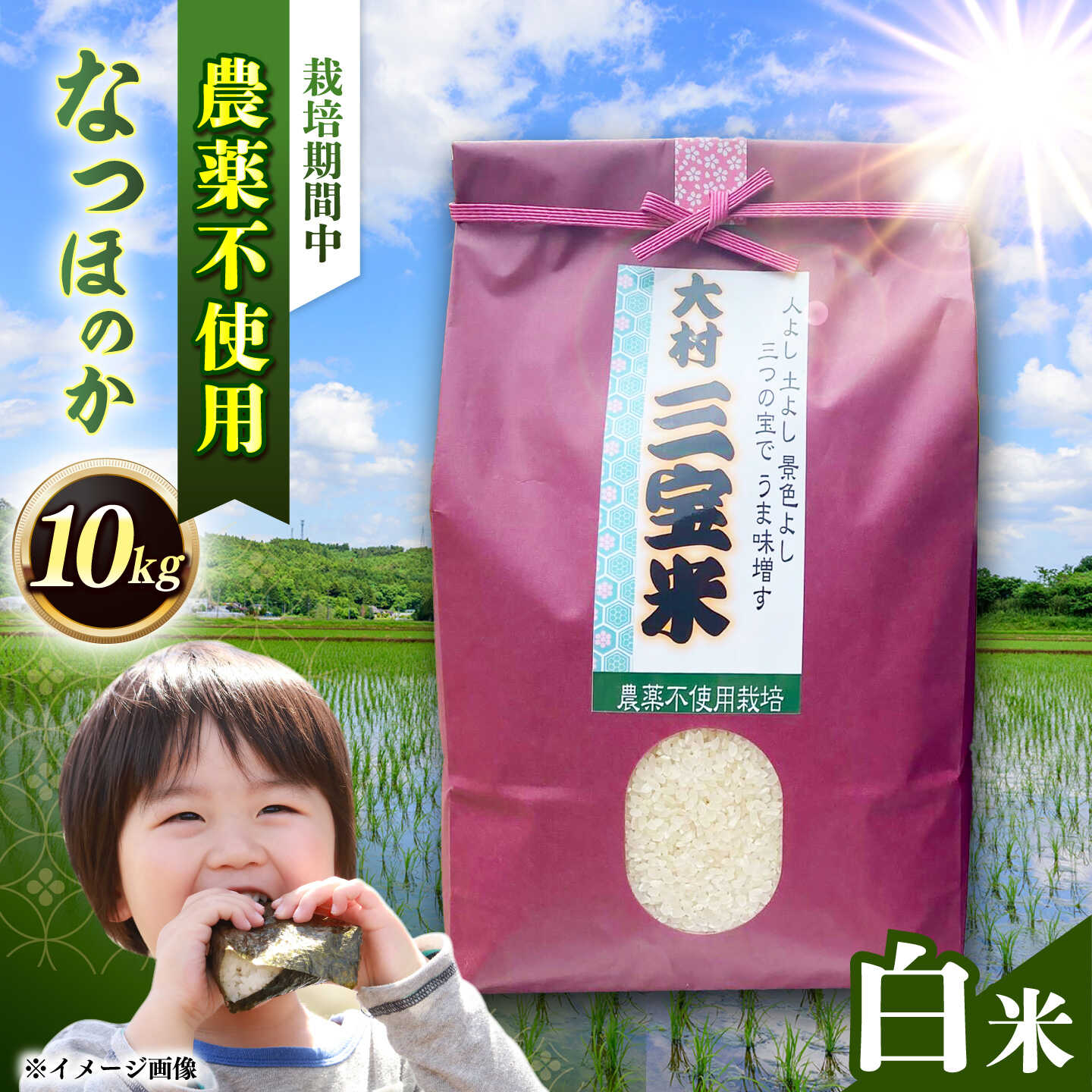 【ふるさと納税】【栽培期間中農薬不使用】R8年度米 白米 なつほのか 10kg 大村市 たぬき池自然農園/ 米 白米 10kg[ACCJ004]｜長崎県大村市