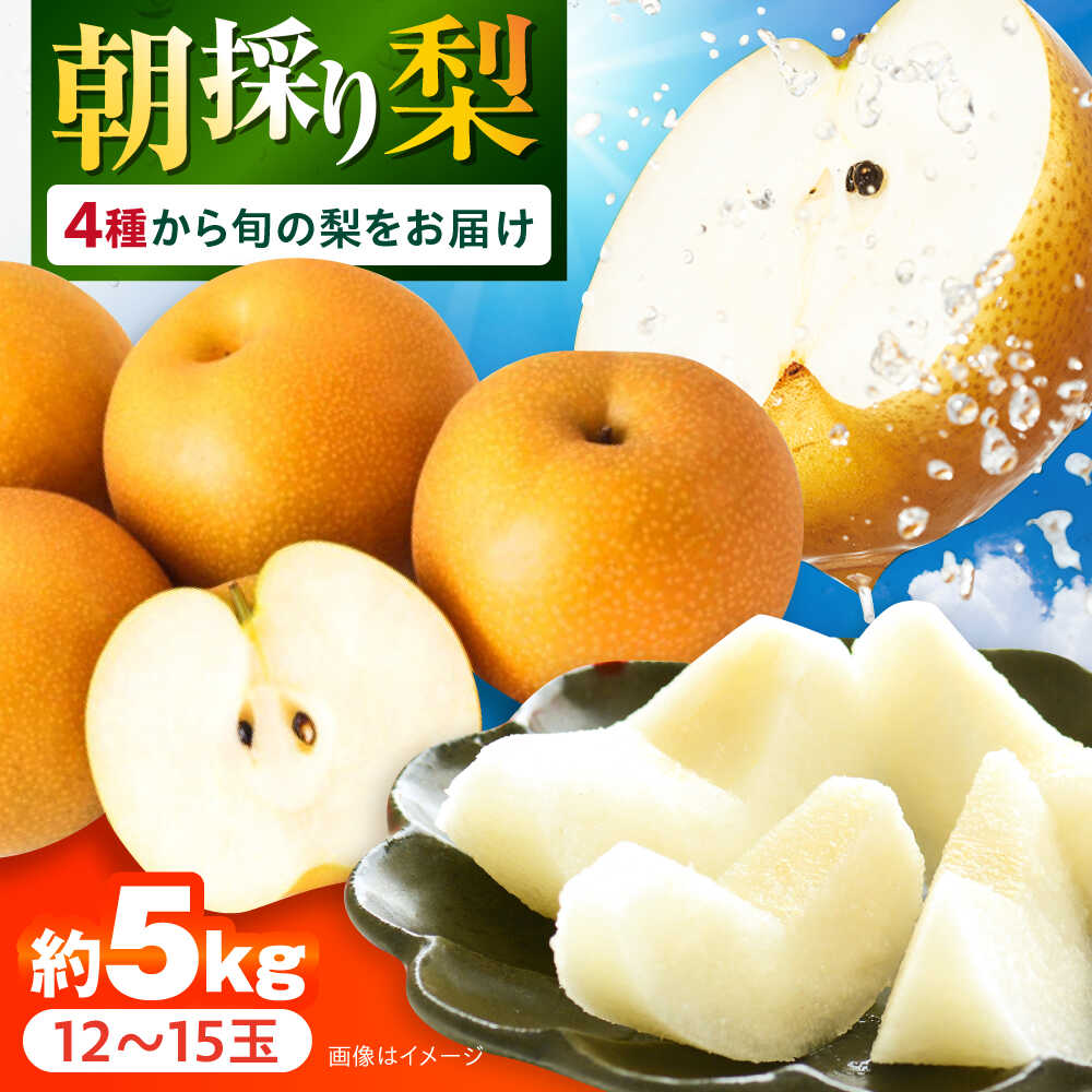 【ふるさと納税】【2025年9月～発送】長崎県産 朝採り旬の梨 約5kg 12玉～15玉 / 大村市 / 産直松吉[ACZC007]
