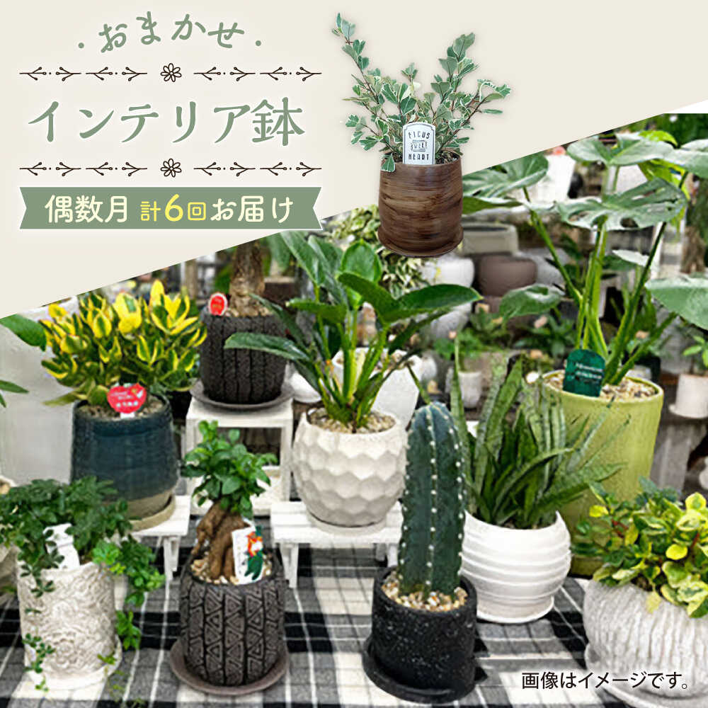 今日このごろの有りがたさを込めて＼父の日の差し上げ物特集 ／