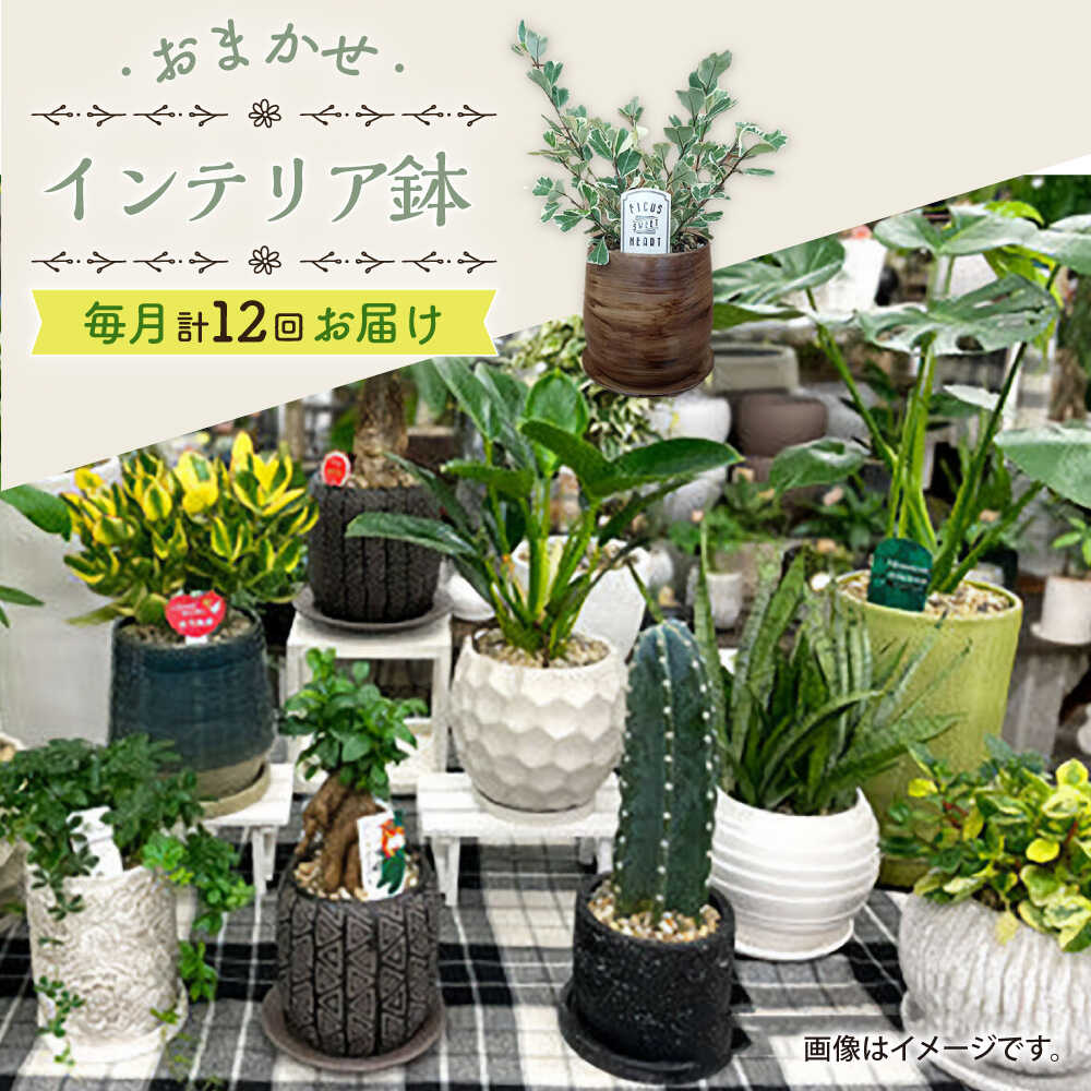 今日このごろの有りがたさを込めて＼父の日の差し上げ物特集 ／