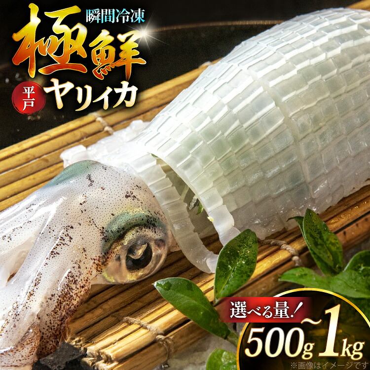 【ふるさと納税】 イカ 刺身 極鮮ヤリイカ 選べる量 500g 1kg [海隆丸 長崎県 平戸市 hr42bgy400118-o] ヤリイカ 新鮮 海鮮 魚介 瞬間冷凍 冷凍 コリコリ 直送 冷凍 個包装 真空パック 1キロ