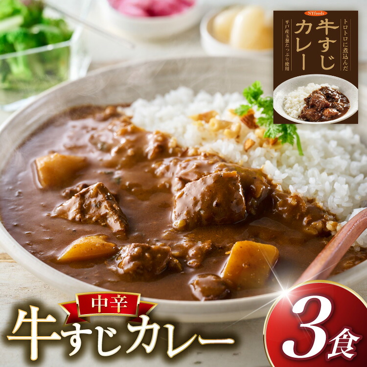 【ふるさと納税】 カレー 牛すじカレー 3食 セット 中辛 [カレー工房NVfoods 長崎県 平戸市 hr42bgy400226] 牛すじ スパイス レトルト レトルトカレー 簡単 便利 時短｜長崎県平戸市
