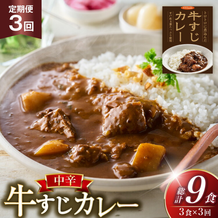 【ふるさと納税】牛すじ カレー 3食 セット 中辛 3回 定期便 [カレー工房NVfoods 長崎県 平戸市 hr42bgy400229] スパイス レトルト レトルトカレー