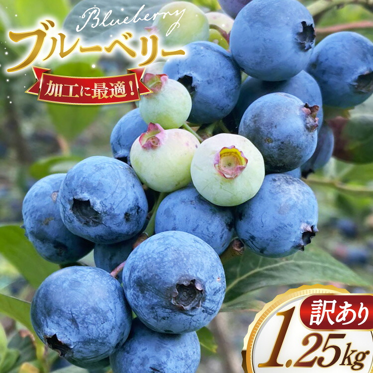 【ふるさと納税】ブルーベリー 訳あり 冷凍 250g 5パック 計 1.25kg [いきつきブルーベリー園 moon berry's kitchen 長崎県 平戸市 hr42bhb500001] 完熟 デザート スイーツ スムージー 小分け 訳アリ 13,860円