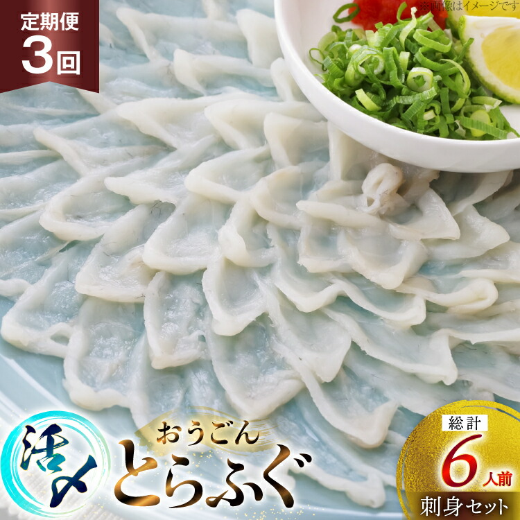 【ふるさと納税】ふぐ 刺身 セット 活〆 おうごんとらふぐ 刺身セット 2人前 3回 定期便 [松永水産 長崎県 平戸市 hr42bgy400070] ふぐ刺し とらふぐ フグ 河豚 てっさ 魚介 さかな お刺身 刺身用 さしみ 冷凍 湯引き 海鮮 切り身