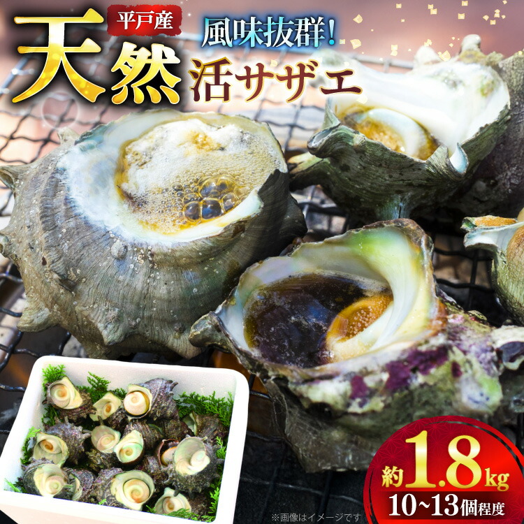 【ふるさと納税】サザエ つぼ焼き 天然 活サザエ 1.8kg 10個 ～ 13個 程度 [ひらど新鮮市場 長崎県 平戸市 hr42bgy400140] さざえ 希少 貝 魚介 魚介類 海鮮 海産物 刺身 壺焼き バーベキュー BBQ 国産