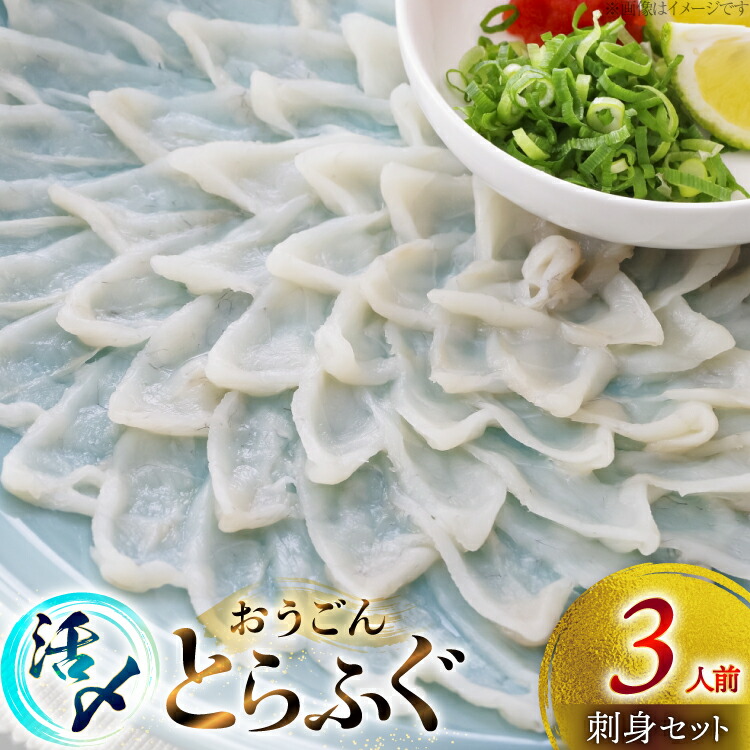 【ふるさと納税】 ふぐ 刺身 セット 活〆 おうごんとらふぐ 刺身セット 3人前 [松永水産 長崎県 平戸市 hr42bvj550039] ふぐ刺し とらふぐ フグ 河豚 てっさ 魚介 さかな お刺身 刺身用 さしみ 冷凍 湯引き 海鮮 切り身｜長崎県平戸市