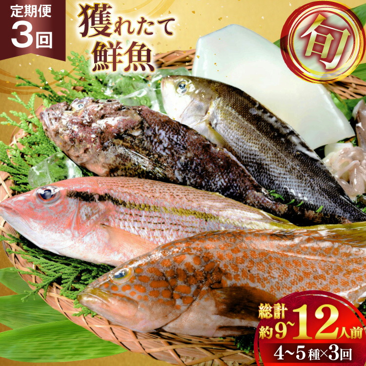 【ふるさと納税】魚 海鮮 地魚 詰合せ4～5種類 3回 定期便 [ひらど新鮮市場 長崎県 平戸市 hr42bgy400190] さかな 詰め合わせ 鮮魚