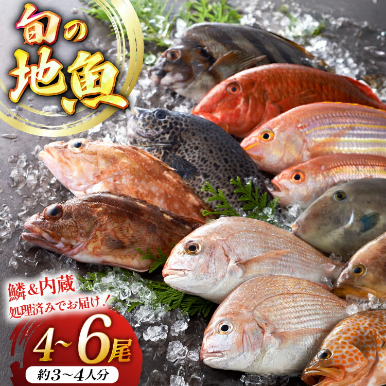 【ふるさと納税】地魚 詰合せ 4～6尾 [平戸瀬戸市場 長崎県 平戸市 hr42bgy420042] うろこ内蔵処理済み 朝獲れ