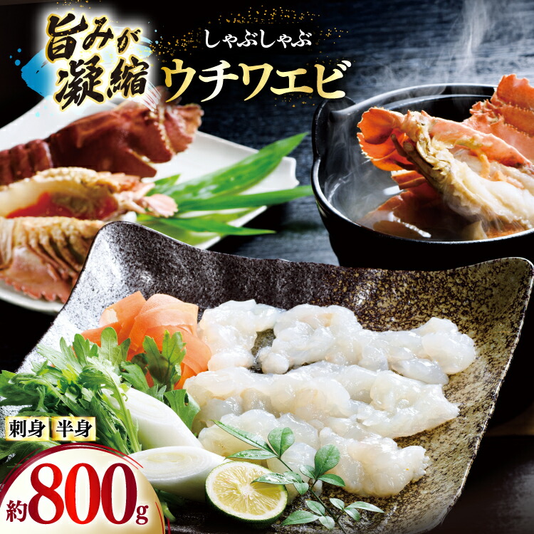 【ふるさと納税】うちわえび エビ 海老 刺身 しゃぶしゃぶ 海鮮 ウチワエビ刺身 約400g・ウチワエビ半身 約400g セット 総計800g [ひばり 長崎県 平戸市 hr42bgy420044] 鍋 魚介 海産物 刺し身 冷凍 新鮮 国産 お取り寄せ