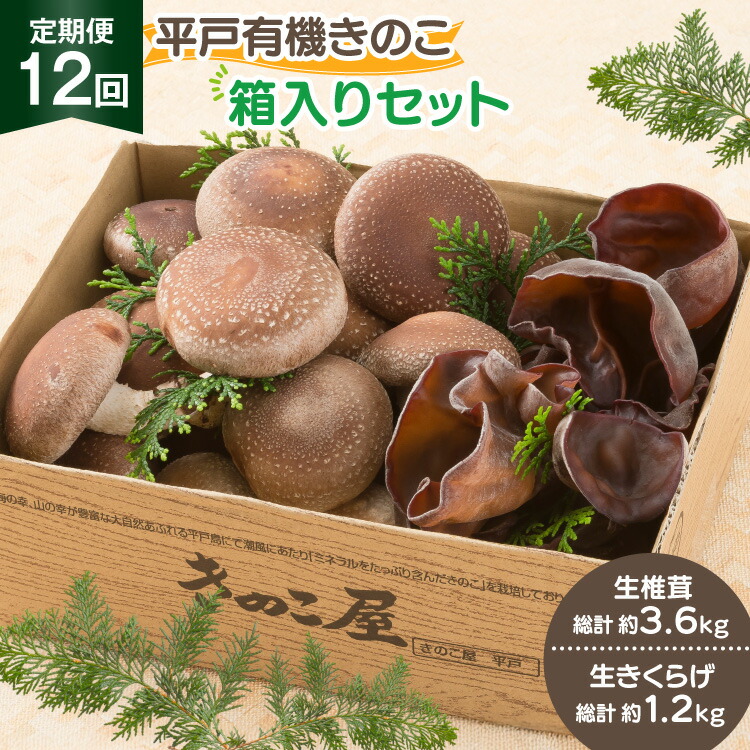 【ふるさと納税】きのこ しいたけ きくらげ 生椎茸 生きくらげ 箱入りセット 12回 定期便 [きのこ屋 長崎県 平戸市 hr42bgy410166] 有機 有機JAS 有機栽培 有機きのこ 有機しいたけ 箱入り ギフト セット｜長崎県平戸市